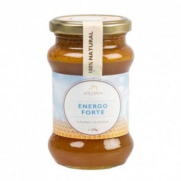 Energo Forte - Energizant cu miere, polen, propolis si laptisor de matca, 370g, Jajin