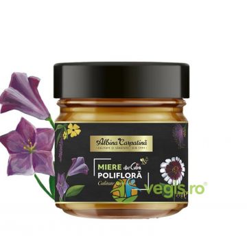 Miere Poliflora din Cuba 270g