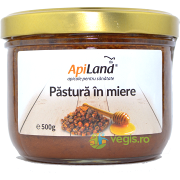 Pastura In Miere 500gr