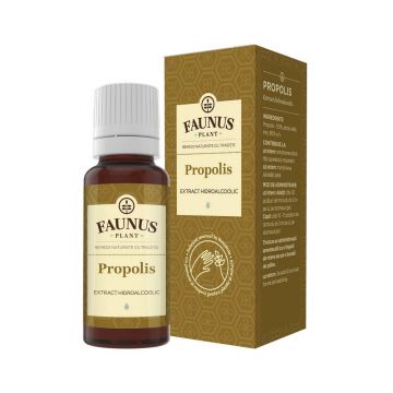 Tinctura Propolis 20ml - Faunus Plant