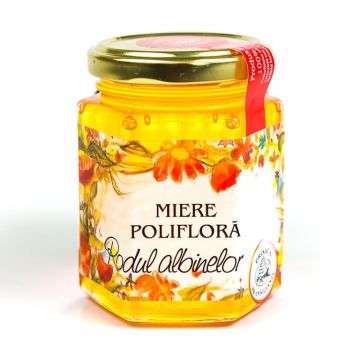 Miere poliflora 250g - PRISACA