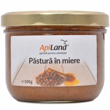 Pastura in miere 500g - APILAND