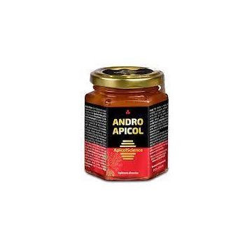Andro Apicol, 200 ml, DVR Pharm