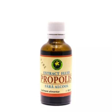 Extract propolis fara alcool 50 ml Hypericum
