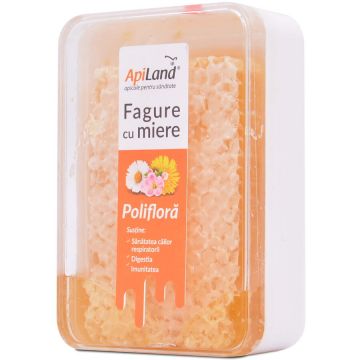 Fagure cu miere poliflora 200 gr