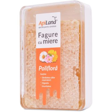 Fagure cu miere poliflora 400 gr