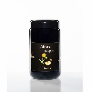 Miere cu inula 550g - NERA PLANT