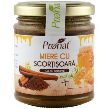 Miere cu scortisoara, 220g - Pronat