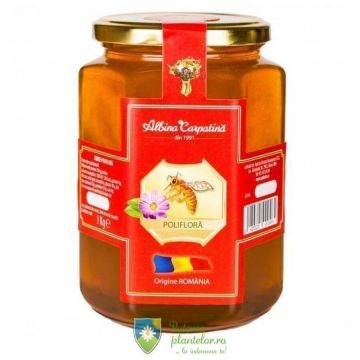 Miere poliflora 1 kg