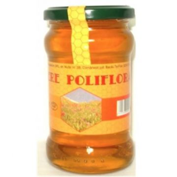Miere Poliflora Apisalecom 400 g Miere Poliflora Apisalecom 400 g
