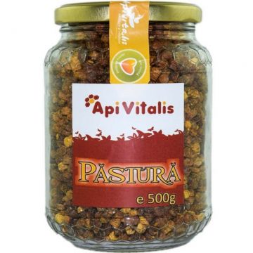 Pastura granule 500g - API VITALIS