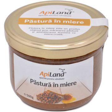 Pastura in miere 500 gr