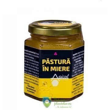 Pastura in miere ApicolScience 200 ml