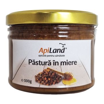 Pastura in Miere Apiland, 500g, naturala