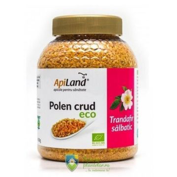 Polen crud Trandafir salbatic Eco 500 gr