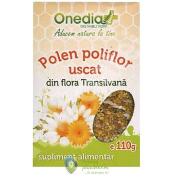 Polen poliflor uscat 110 gr