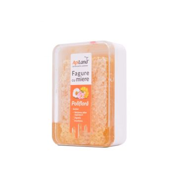 Fagure cu miere - 200g Fagure cu miere - 200g